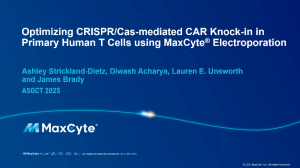 Thumbnail for Optimizing CRISPR/Cas-mediated CAR Knockin in Primary Human T Cells Using MaxCyte presentation